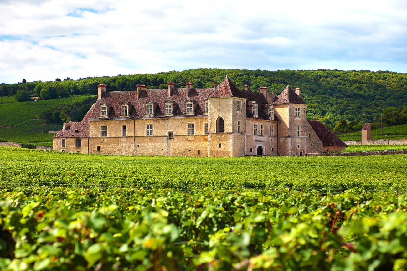 french-vineyard-chateau.jpg