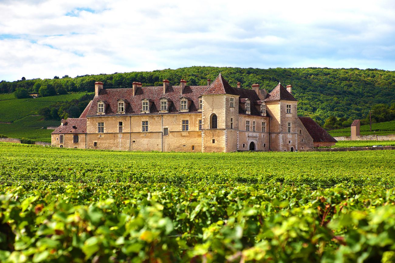 french-vineyard-chateau.jpg